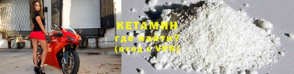 кокс Касимов
