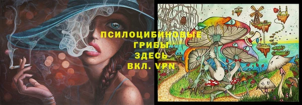 кокс Касимов