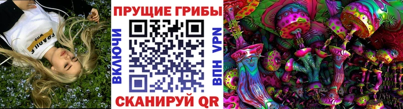 Купить где  Исилькуль  Галлюциногенные грибы Psilocybine cubensis 